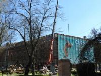 Imagine atasata: Castelul Huniazilor - 2016.03.25 - 08.jpg